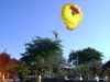 DSC01303