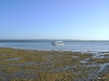 DSC01336