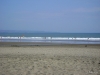 DSC01399