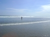 DSC01408