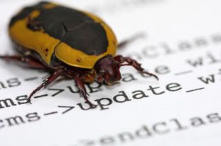 Software Bug