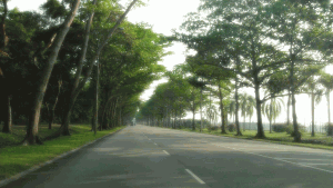 Changi Coast Road